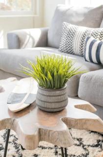 Pacific Beach Cottage 3 Walk to the Beach and Bay - 1