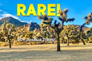 Romantic Secluded Hot Tub Fire Pit - Joshua Tree - 3