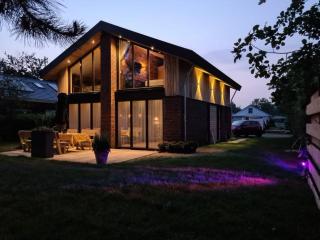 Villa near Dutch dunes with sun-facing garden - 4