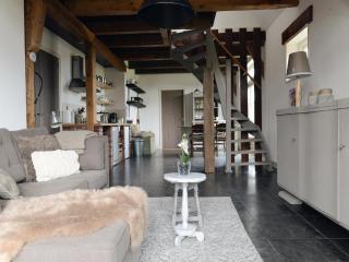 Farmhouse by the Beach in the Netherlands - 4