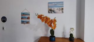 Queens Gardens 104 - Paphos - 1