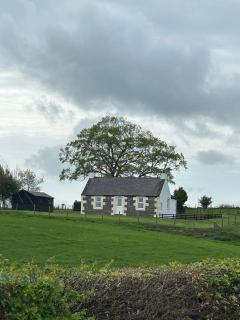 Williamsfield Cottage - Holywood - 0