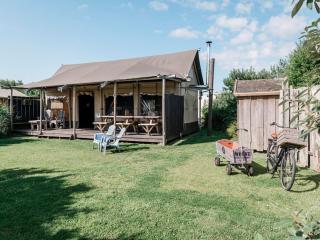 Woodlodge in Duynpark with Scenic Views - Callantsoog - 1