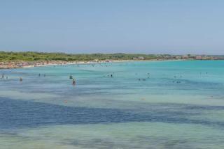 Mallorca Finca Haus mit Pool direkt am Meer es Trenc, Bootstour möglich - Sa Ràpita - 7