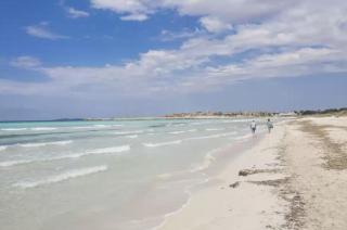 Mallorca Finca Haus mit Pool direkt am Meer es Trenc, Bootstour möglich - Sa Ràpita - 9