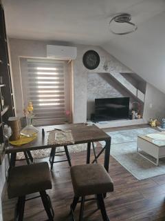 Centre city apartment - Podgorica - 0