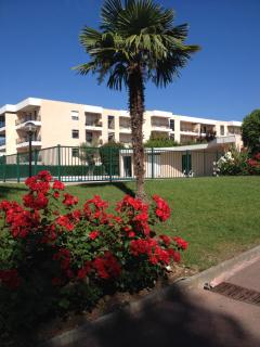 Studio en rez de jardin dans résidence calme avec piscine - Juan-les-Pins - 9