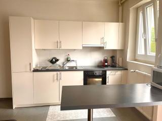 Fully Furnished down town- 5 minutes from Lausanne Train station - Losanna - 3