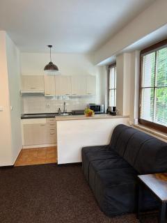 Apartmán K LANOVCE 10 - Jáchymov - 6