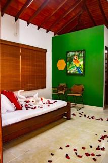 Hotel Boutique San Mateo Campestre - Villavicencio - 4
