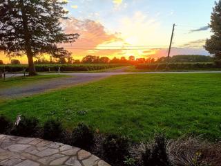 Arrowstone Farmhouse in Historic Old Town - Niagara on the Lake - 9