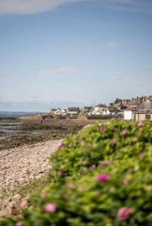 Kewwater Getaways Seafront Apartment in Johnshaven - Johnshaven - 8