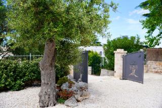 Villa Filippo Relax & Nature - Puglia Mia Apartments - Selva di Fasano - 3