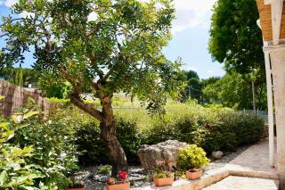 Villa Filippo Relax & Nature - Puglia Mia Apartments - Selva di Fasano - 2