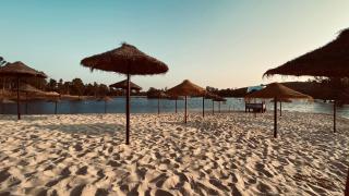 Casa Mel-Mina São Domingos-Praia fluvial-Terraço-3km-arcondicionado - Mértola - 8