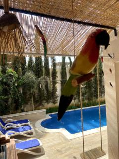 Villa avec piscine privée Alger sans vis à vie - Birtouta - 2