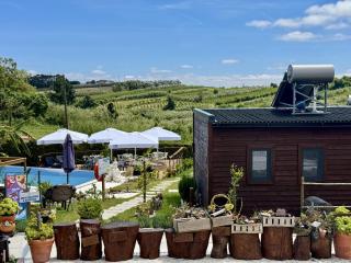 Villa's Pomar do Moinho - 5 minutes from Óbidos - Usseira - 4