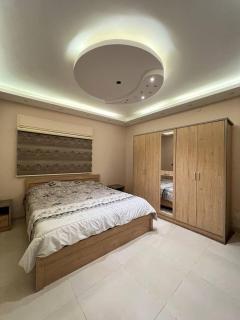Luxurious fully equipped independent apartment - Al Mafraq - 0
