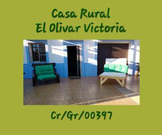 Casa Rural El Olivar Victoria - Cuevas del Campo - 7