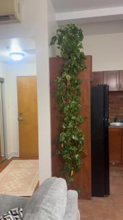 Spacious Condo with a Bright Interior - Montréal - 4