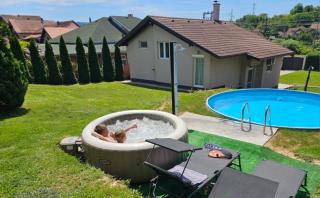 Violeta guest house - Petrovaradin - 8