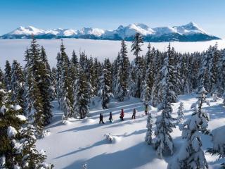 Ski In Ski Out Apartment w Pool and Hot Tub by Harmony Whistler - Whistler - 4