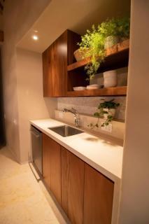 Luxurious and Tropical Beachfront Penth - La Majahua - 2