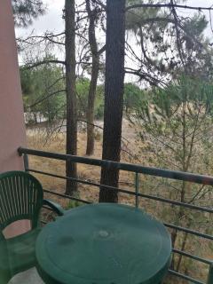 Nature House - Bicas - 7