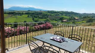 Tenuta Ornella - Miglianico - 4