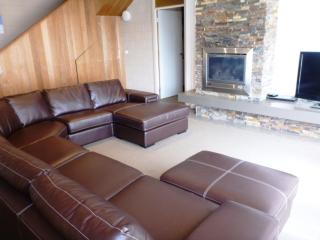 Snowland Apartment 1 - Falls Creek - 5