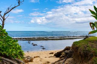 Beautiful Beach Home - Hauula - 9