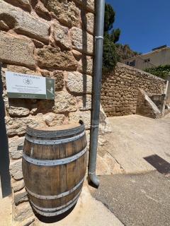 Domaine RABOLY - Beaumes de Venise - Beaumes-de-Venise - 2