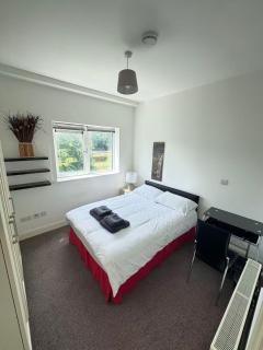 two bedroom apartment in cork city - Cork - 7