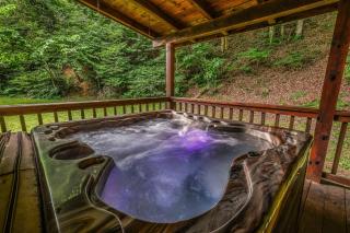 Willow Creek cabin - Townsend - 8