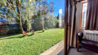 HUALA PATAGONICO Arrayan - 6