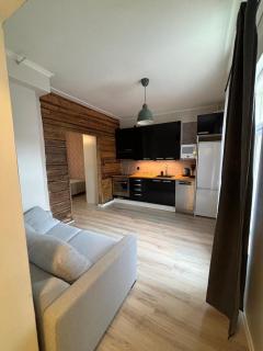 Historic SELF-SERVICE apartment in downtown Vaasa - Vaasa - 2