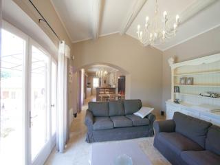 Villa in Provence with Infinity Pool, cleaning included - Martres-Tolosane - 1