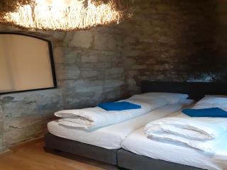 Apartment in Serrières Castle near French Alps, cleaning included - Serrières-en-Chautagne - 7