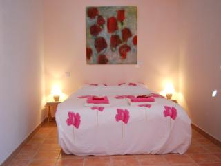 Villa in Valréas with Pool and Garden Views, cleaning included - Valréas - 1