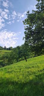 Barn-Nature Höllhof Adventure with panoramic view outdoor -near Lucerne - Luzern - 8