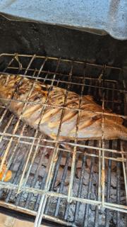 Don Panchon y Maruxa - Isola Holbox - 9