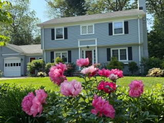 basement Two queen beds with private bathroom in Lexington - 4