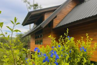 Nalintara resort นลินธารารีสอร์ท - Ban Pha Saeng Lang - 3