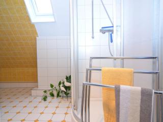 Apartment near ski area in Wehrstapel in Sauerland - Meschede - 1
