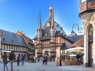 Ferienwohnung Remise, Wernigerode, cleaning included - Wernigerode - 3