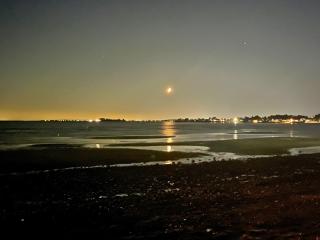 #MilfordOceanView - Beachfront, Dog Friendly - Milford - 6