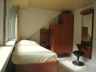 Villa in Lunteren with Heated Pool, cleaning included - Lunteren - 1