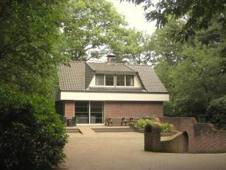 Villa in Lunteren with Heated Pool, cleaning included - Lunteren - 0