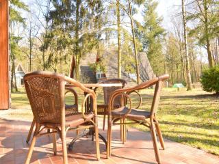 Holiday Home in Stramproy Nature Reserve, cleaning included - Stramproy - 6