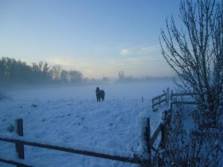Holiday Home in Spijk with Meadow Views, cleaning included - Spijk - 4